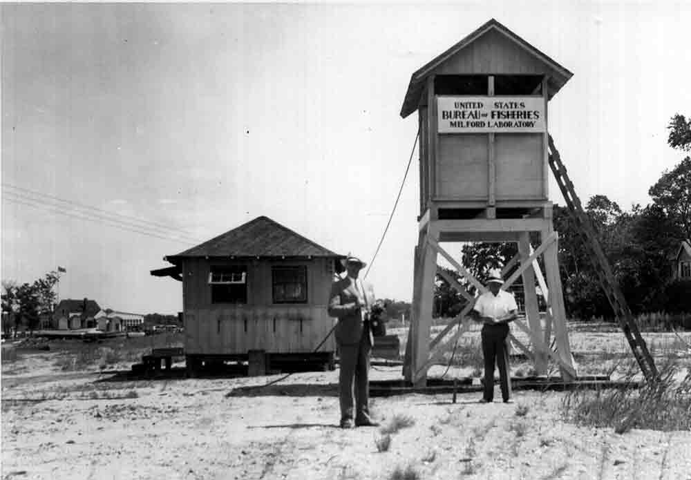 Wooden buildings, one on stilts of the original research station.