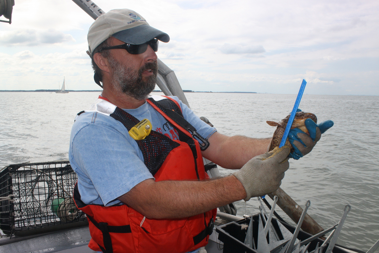 NOAA-scientist-measures-fish.jpg
