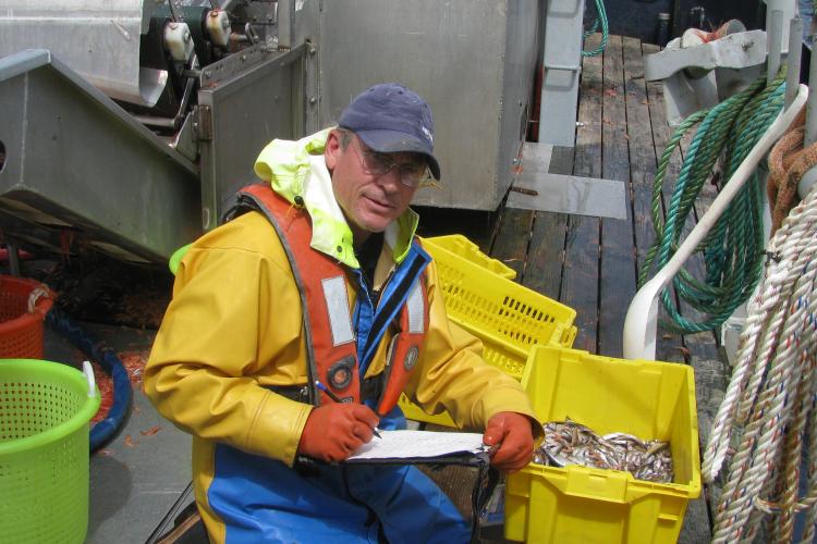 An observer on deck of a ship during a pink shrimp trawl