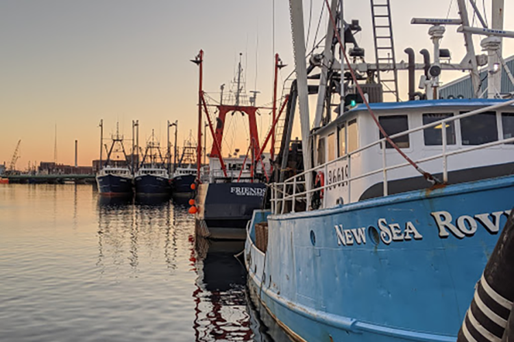 Fishing boats at dock. 