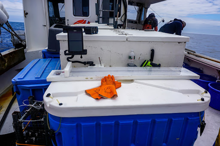 Commercial sales fishing gloves