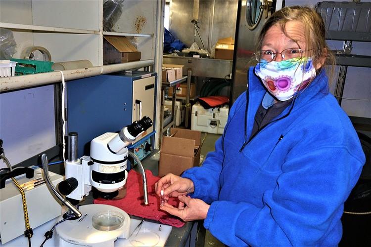 Scientist Betsy Broughton holing a vial of pteropods collected from a plankton sample under a nearby microscope