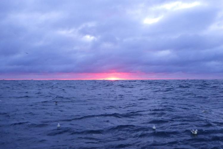 A distant intense sunset on the horizon over the Bering Sea shrouded by dark, heavy clouds as seabirds bob on the water in the foreground. Credit: NOAA Fisheries / Rory Morgan (Alaskan Observers, Inc)