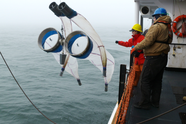 Bering Sea – NOAA Teacher at Sea Blog