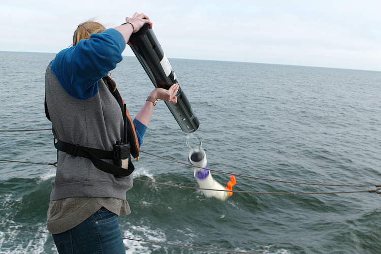 A sonobuoy is deployed over the port rail. Credit: NOAA Fisheries