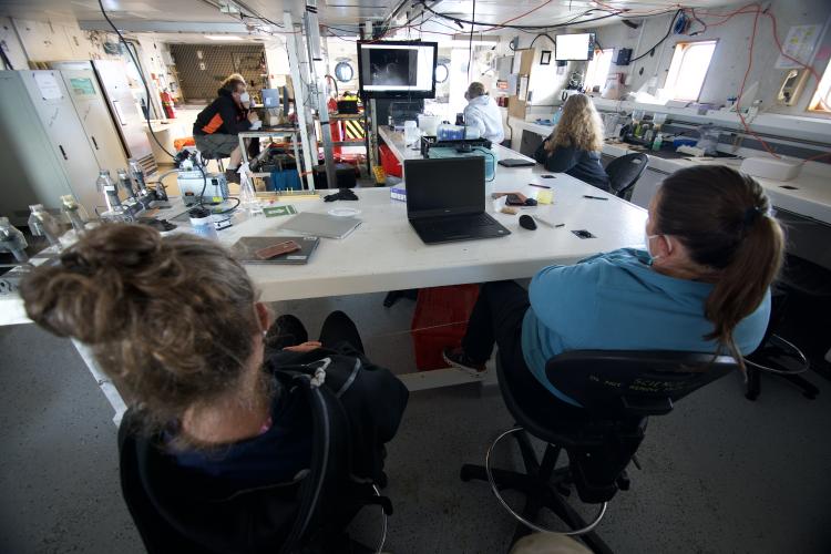 In a large room, several scientists sit on chairs looking at different screens showing a black and white image of black coral on the seafloor.