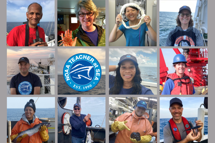 Teachers at Sea holding various species 