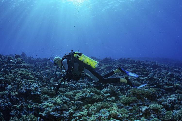 Douglas in a diving suit wearing an air tank surveying and holding a clipboard over coral reef.