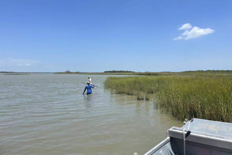 2 people walking in hip deep marsh water