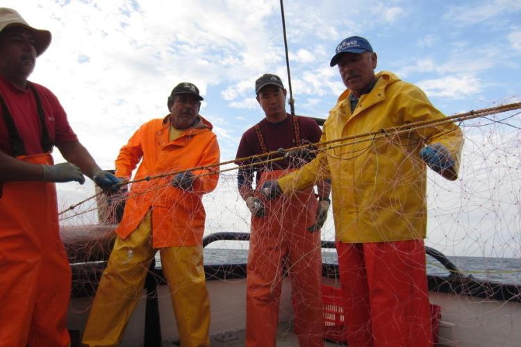1000x600-reducing-bycatch-gillnets-photo-smartgear-john_wang.jpg