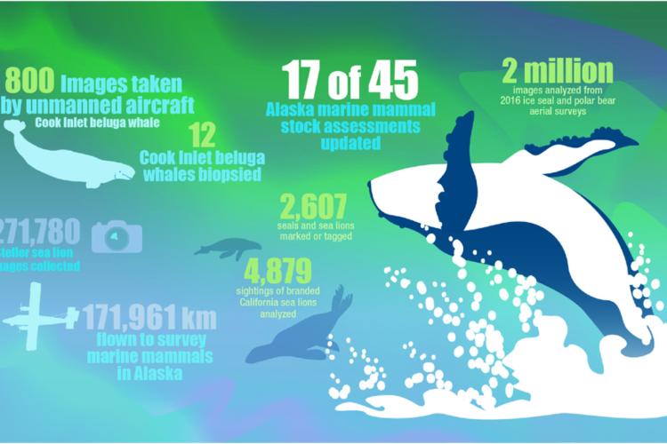 Graphic showing accomplishments of Alaska Fisheries Science Center for the year 2017