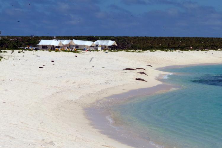 4000x3000-NOAA-PIFSC-Laysan-tents.jpg