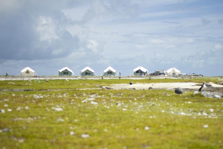 5184x3456-Monk-Seal-Field-Camp.jpg