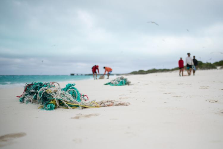 5976x3984-Marine-Debris-David-Slater.jpg