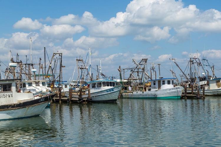 750x500-Fishing-boats-in-Fulton-Harbor-TX-iStock-518344274.jpg