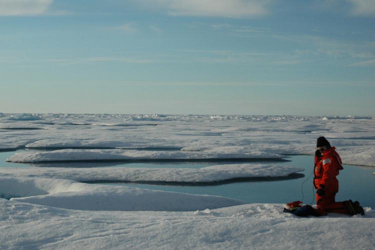 750x500-scientist-in-Arctic.jpg
