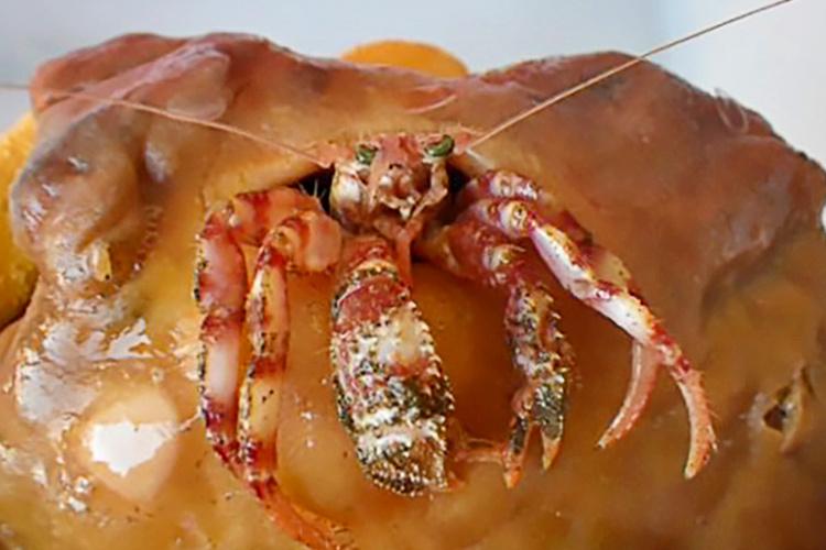 Red hermit crab on a sponge