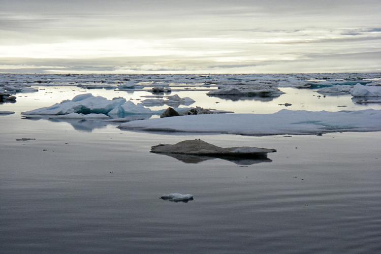 Floating sea ice in the Alaskan Arctic