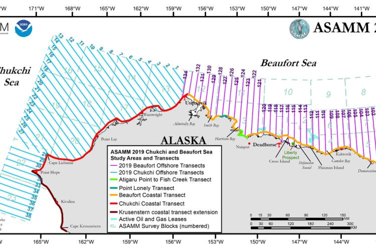Survey grid for scientific study in northern Alaska 