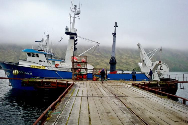 AFSC_Crab_Survey-royal american.jpg