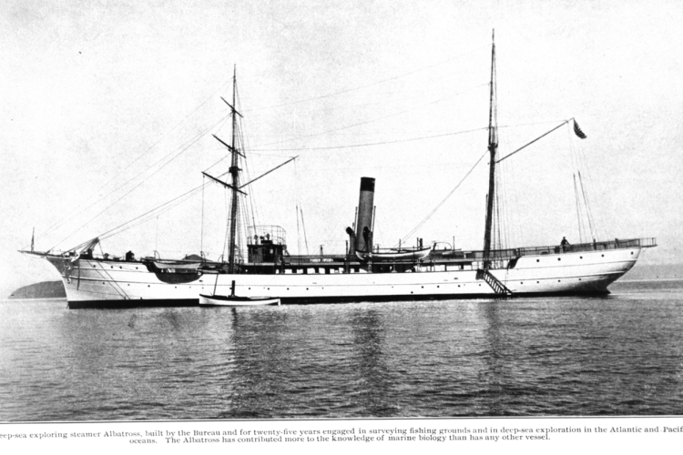 The steamer Albatross I, stack and masts, flag flying from rear mast.