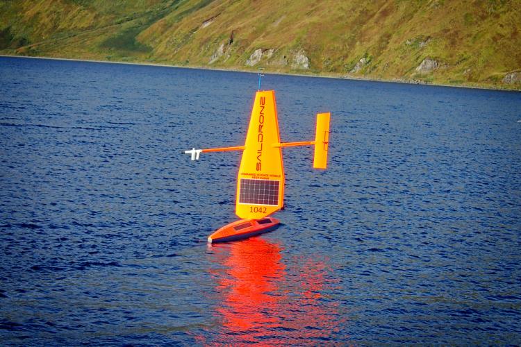 ASAMM-Blog-CrabandSaildrone (2).JPG