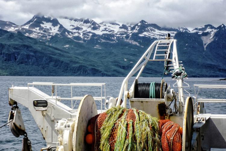 Bottom Trawl Survey_KShotwell- Retouched.jpg