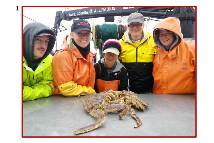 Scientists in orange and yellow coats surrounding a table with two crabs