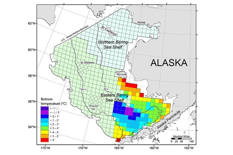 Map showing survey grid in the eastern Bering Sea