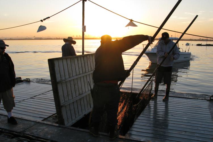4000x3000-Bait-Barge-SWFSC-NOAA-JPG