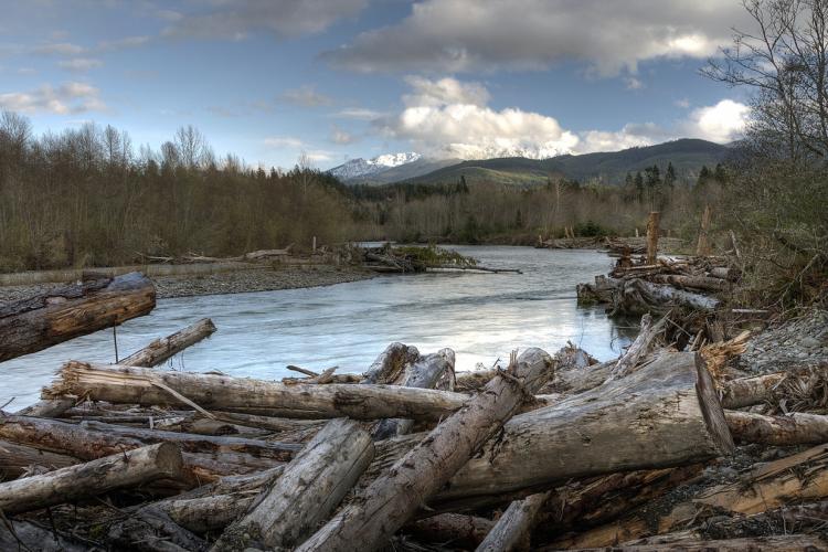 Elwha River photo credit john mcmillan nwfsc.jpg