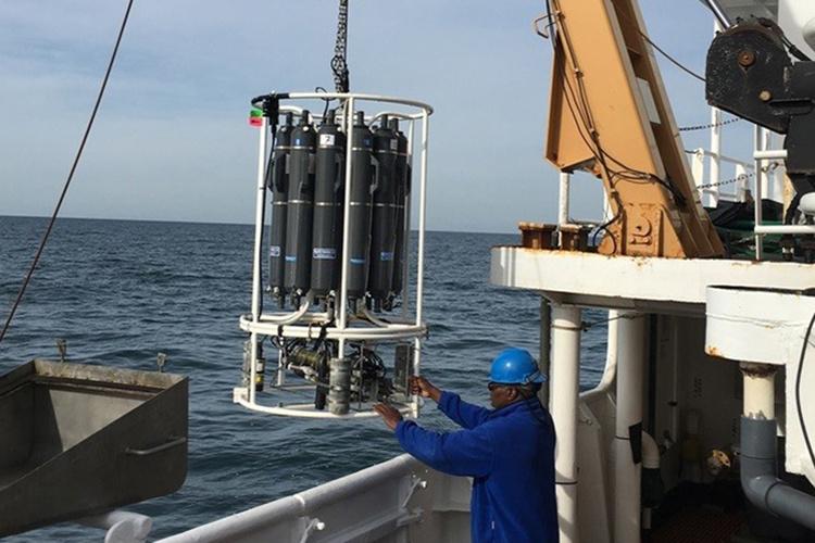 Retrieving the Niskin bottles, crew member in blue. 