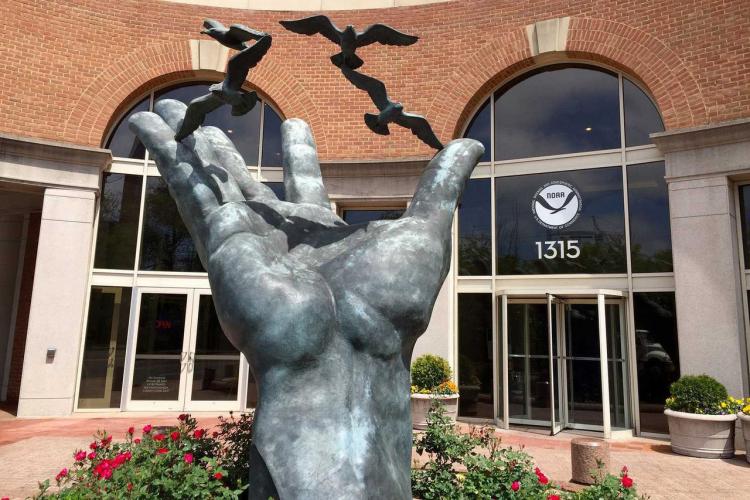 hand_statue_wapo.jpg