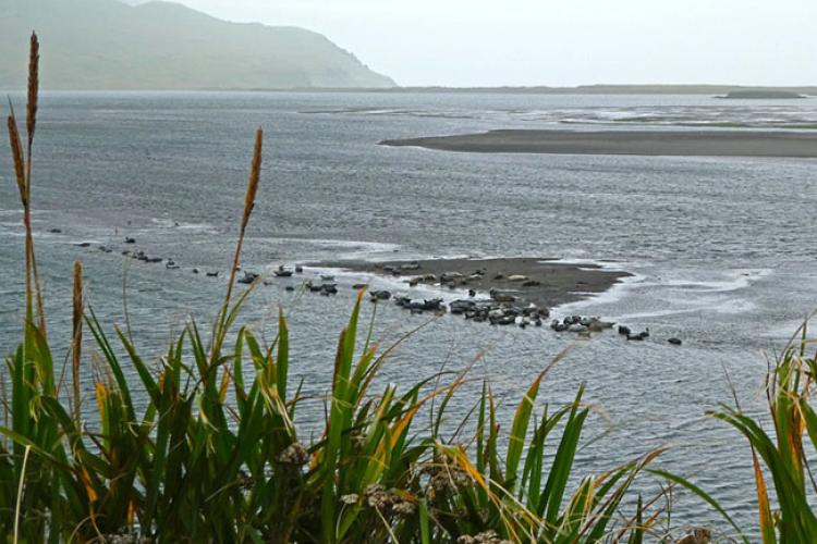 Grass in foreground, lagoon in middle ground and hills in the distance. 