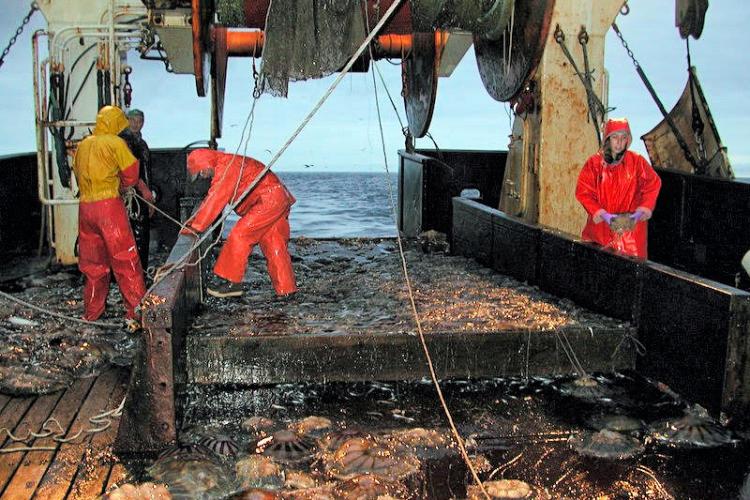 People in orange suits working on a boat