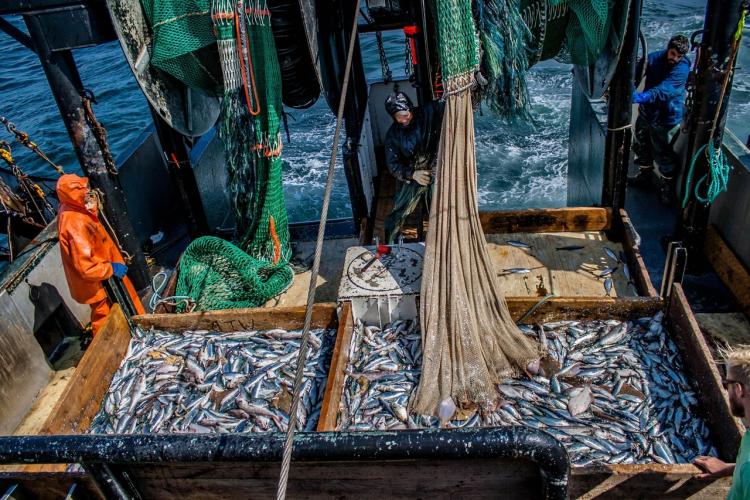 The twin trawl nets of the Karen Elizabeth.