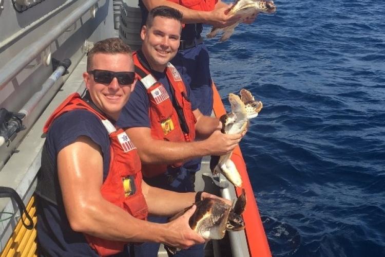 NOAA USCG TED turtle release 2017 (4).jpeg