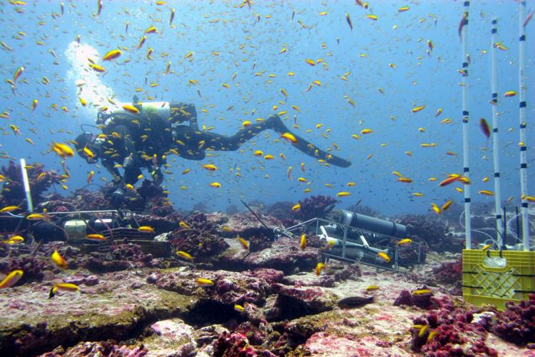 pacific_islands_ecosystem_science.jpg