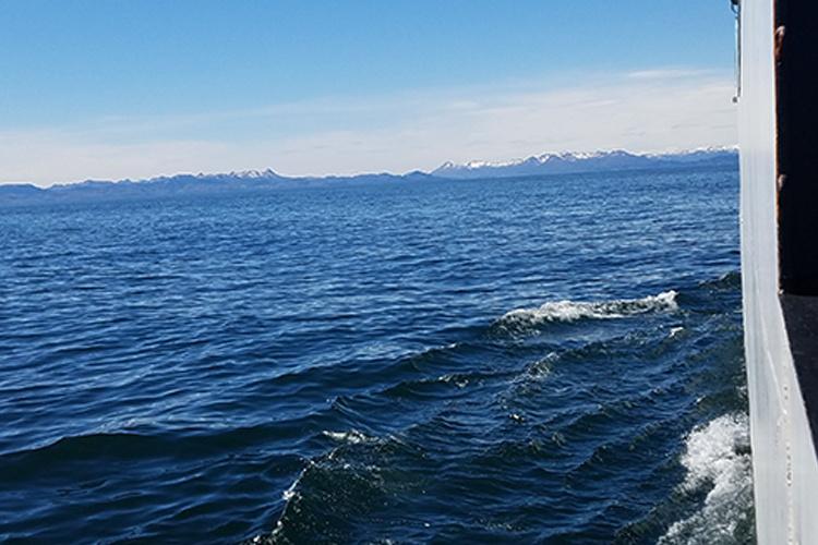 View from ship of the Gulf of Alaska with mountains in the background