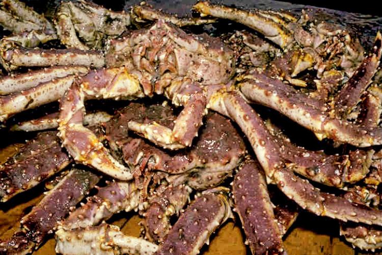 Pile of crabs 