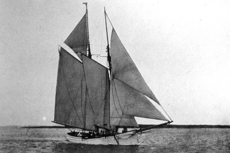 Under full sail, the schooner Grampus at sunset. 