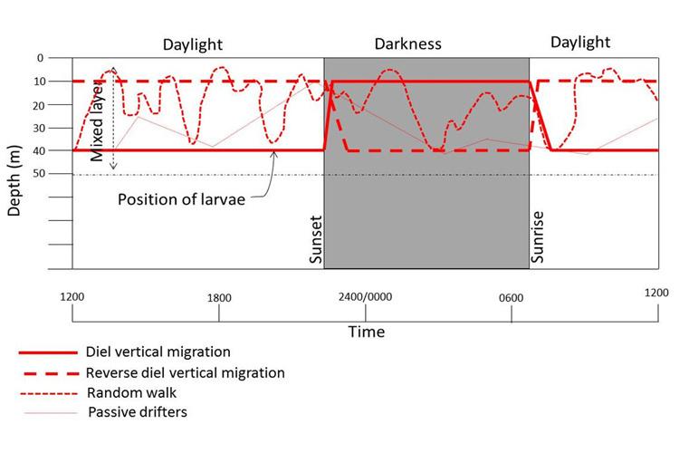 Graph showing shellfish depth through the day