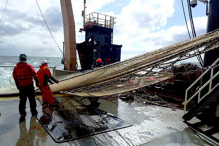 Two scientists deploying a net into the ocean