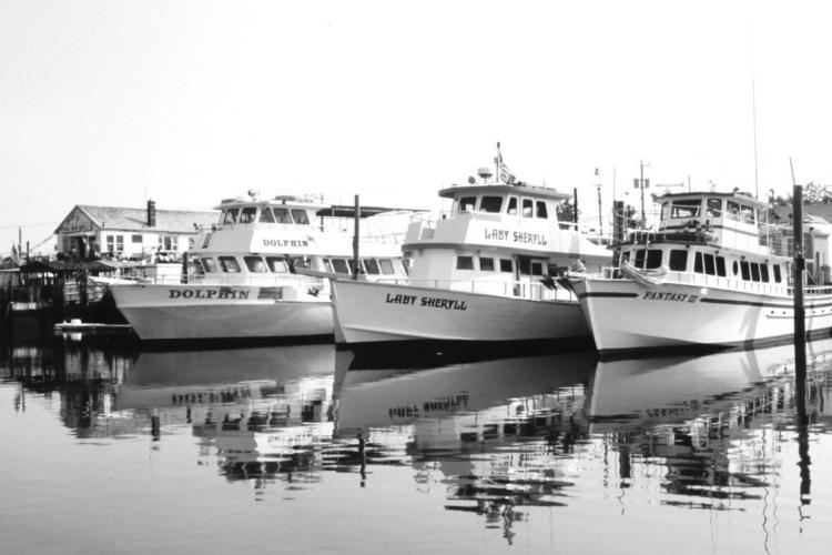 SS_ForHire_headboats.jpg
