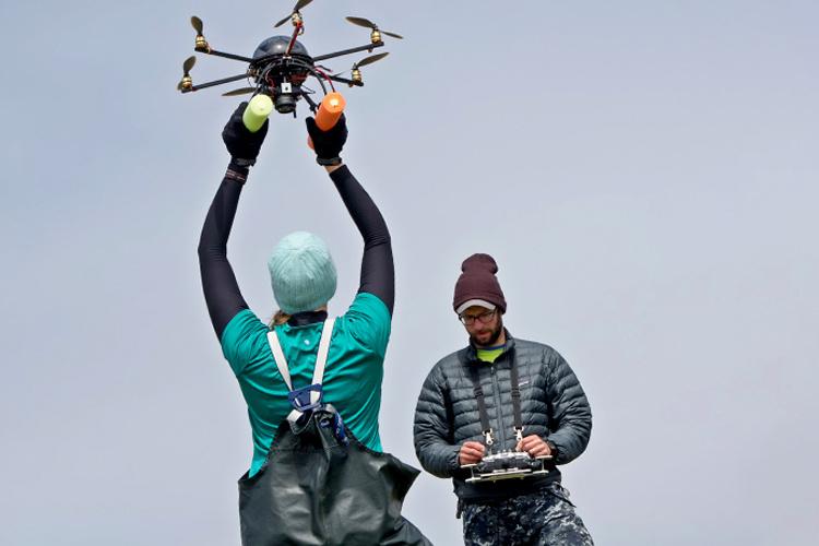Steller Sea Lion Aerial-based Studies.jpg