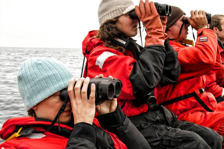 Steller Sea Lion Vessel-based Studies.jpg