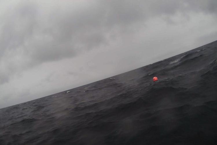 TrackingAKRedKingCrabBlog8-SaildronePhotoCapture1.jpg