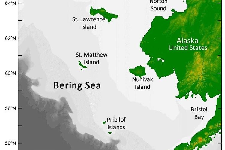 map of Alaskan islands in the Bering Sea