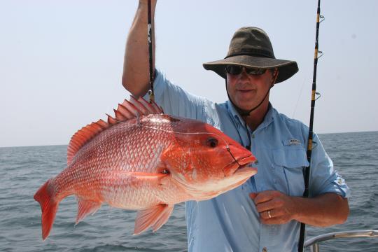 Red Snapper Season Announced For South Atlantic & It's Abysm