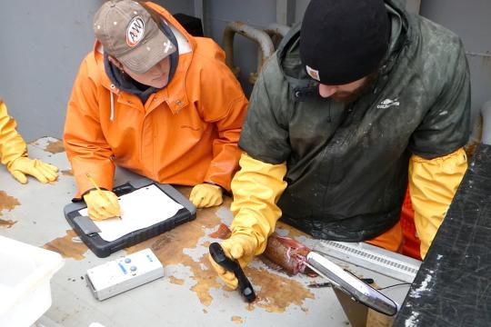 Photo of two researchers in waterproof coats and gloves using handheld instruments on a fish sample.